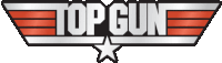 a top gun logo with a star in the center