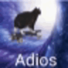 a black cat is sitting on a skateboard with the word adios written below it .