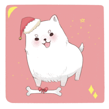 a white dog wearing a santa hat and a bone