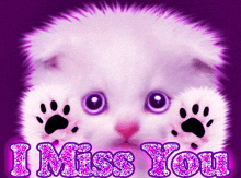 a picture of a kitten with the words i miss you written on it