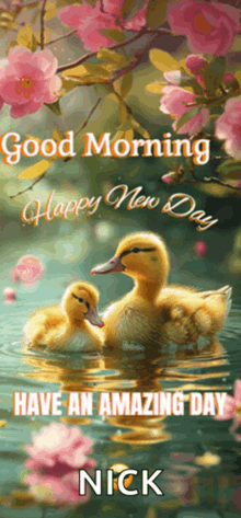 two ducklings are swimming in the water with the words good morning happy new day have an amazing day nick