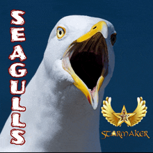 a seagull with its mouth open and the words seagulls written above it