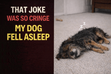 a dog is sleeping on the floor next to a sign that says that joke was so cringe my dog fell asleep