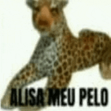 a stuffed leopard with the words `` alisa meu pelo '' written below it .