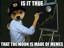 a dog wearing a dea hat is painting a graph of the moon