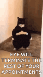 a black and white cat is standing on its hind legs in a hallway with the caption eye will terminate the rest of your appointments
