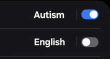 a screenshot of a phone screen showing autism and english .