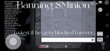 a screenshot of among us shows a message from banning sminion to test if he gets blocked forever