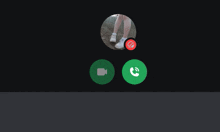 a screenshot of a video call with a picture of a person in a circle and a call button