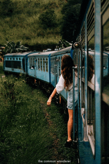 a woman looks out of a blue train with the words the common wanderer below her