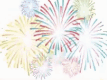 a bunch of colorful fireworks are flying in the sky .