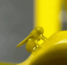 a close up of a yellow object with a bee on top of it