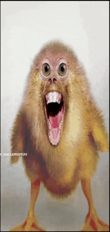 a picture of a chicken with a monkey face on it