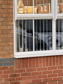 a car is reflected in the window of a brick building