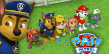 a group of paw patrol dogs are standing in the grass