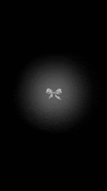 a small white bow on a black background