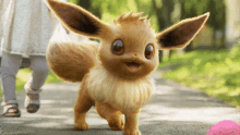 a cartoon eevee is walking down a path with a pink ball in the background