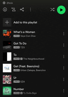 a screen shot of a playlist that includes what 's a woman got to do and number