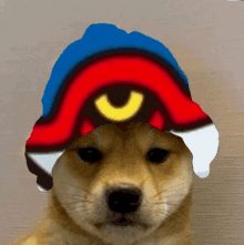 a dog wearing a colorful hat with a yellow eye