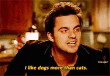 a man says i like dogs more than cats in a kitchen