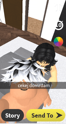 a screenshot of a video game that says cekaj domrdam and a send to button