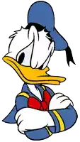 donald duck has his arms crossed and looks angry