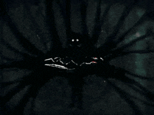 a drawing of a black cat in the dark