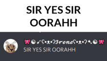 a picture of a cat with the words sir yes sir oorahh