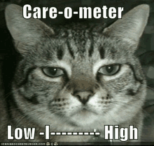 a cat with a caption that says care-o-meter low-i high