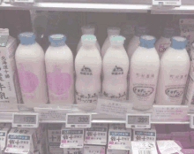 bottles of milk are lined up on a shelf in a supermarket .