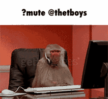 a monkey wearing headphones sits in front of a computer with the caption " mute @thetboys "