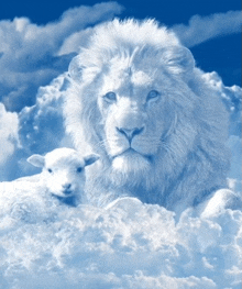 a white lion and a white sheep are in the clouds