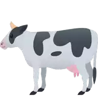 a black and white cow with a pink uterus