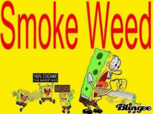 a cartoon of spongebob smoking a cigarette with the words `` smoke weed '' on a yellow background .