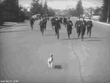 a black and white photo of a group of police officers chasing a dog with the website vayagif.com at the bottom