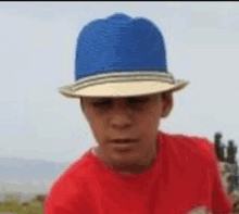 a young boy wearing a blue hat and a red shirt is standing in a field .