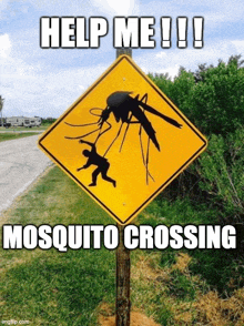 a yellow sign with a mosquito on it and the words help me !!! mosquito crossing