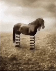 a horse is standing on a spring in a field