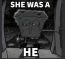 a black and white photo of spongebob squarepants with the caption `` she was a he ''