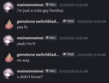 a screenshot of a discord conversation between meimeimei and another person