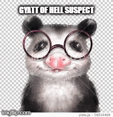 a opossum wearing glasses on a transparent background with a caption that says gyatt of hell suspect .