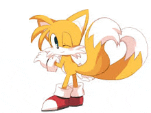 tails from sonic the hedgehog is a fox with a white tail .