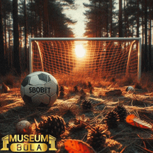 a soccer ball with the word sbobet on it is in front of a goal