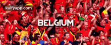 a large group of people are cheering for their team belgium