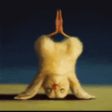 a painting of a rabbit doing a handstand