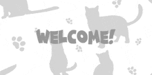 a welcome sign with cats and paw prints