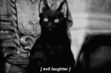 a black and white photo of a black cat with horns and the words `` evil laughter '' written below it .