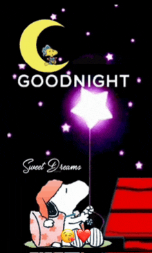 snoopy is holding a star in his hand and says goodnight sweet dreams .