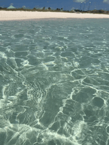 a beach with a white sandy shoreline is visible in the background