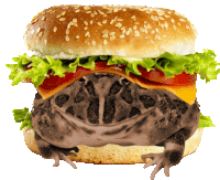 a frog sits on top of a hamburger with lettuce tomato and cheese